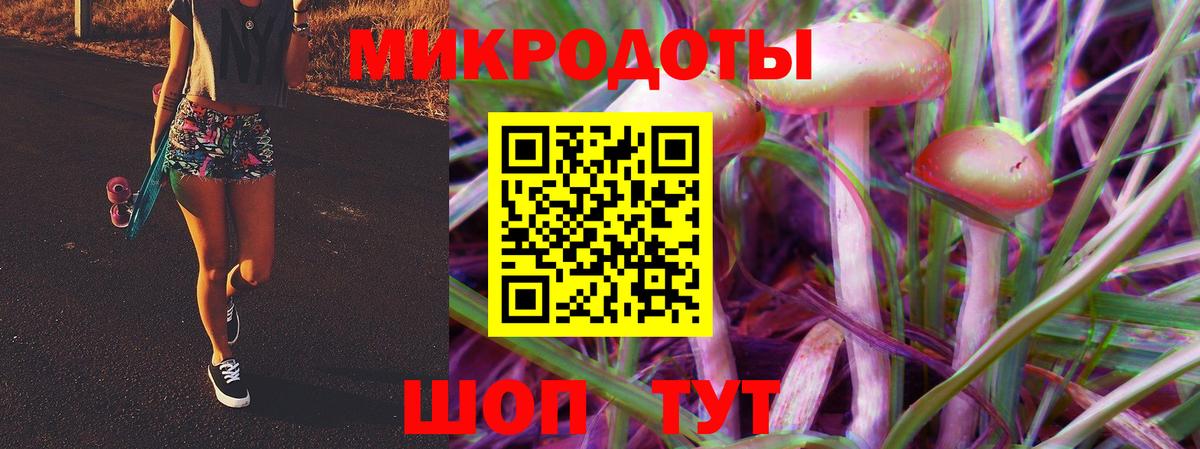 Псилоцибиновые грибы Psilocybe Россия