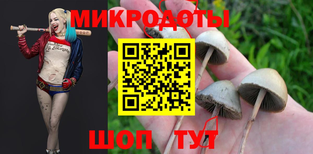 Псилоцибиновые грибы Magic Shrooms  Вход с VPN  Россия 